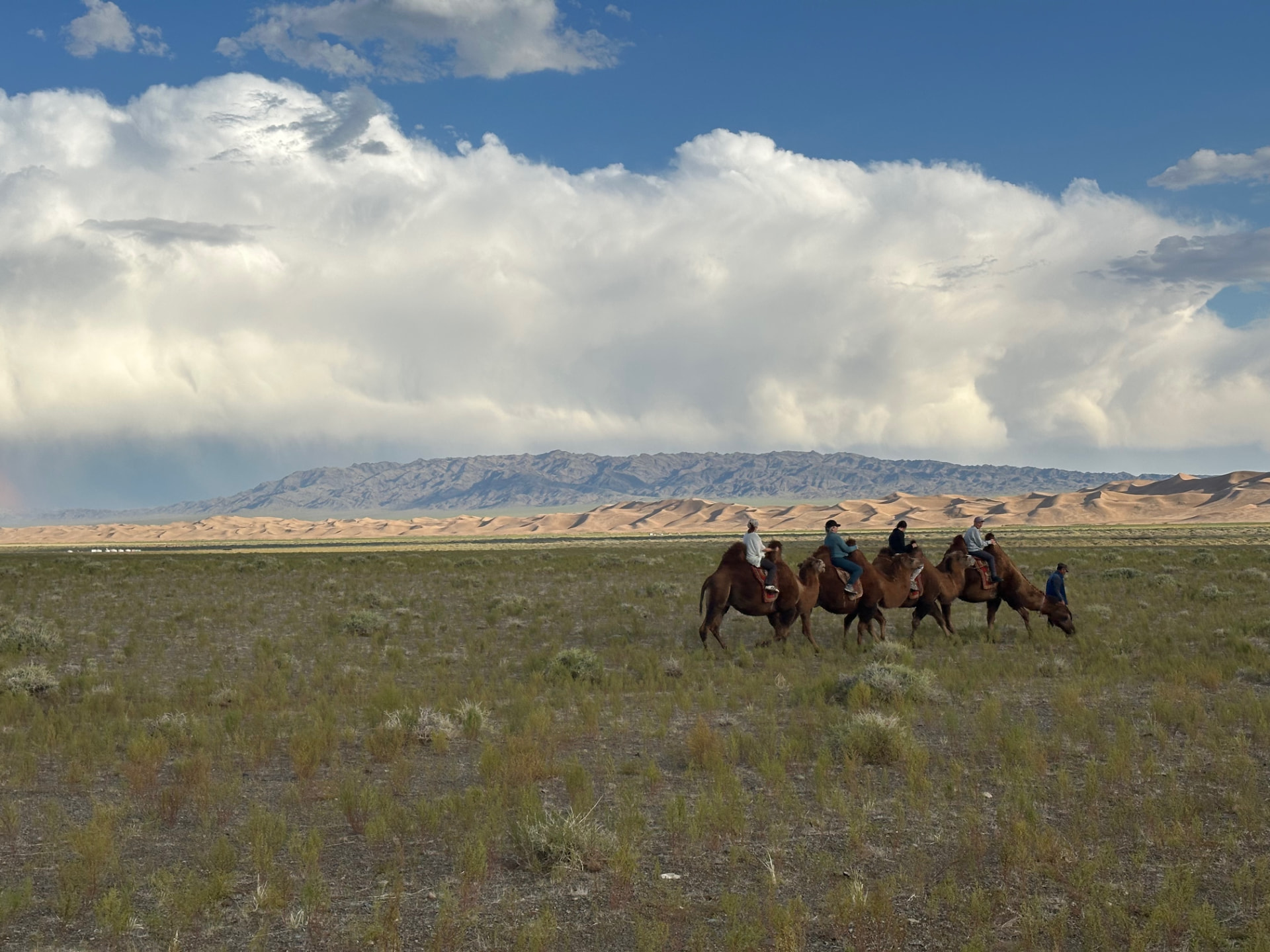 Camel caravan crossing the plain towards the South Gobi dunes