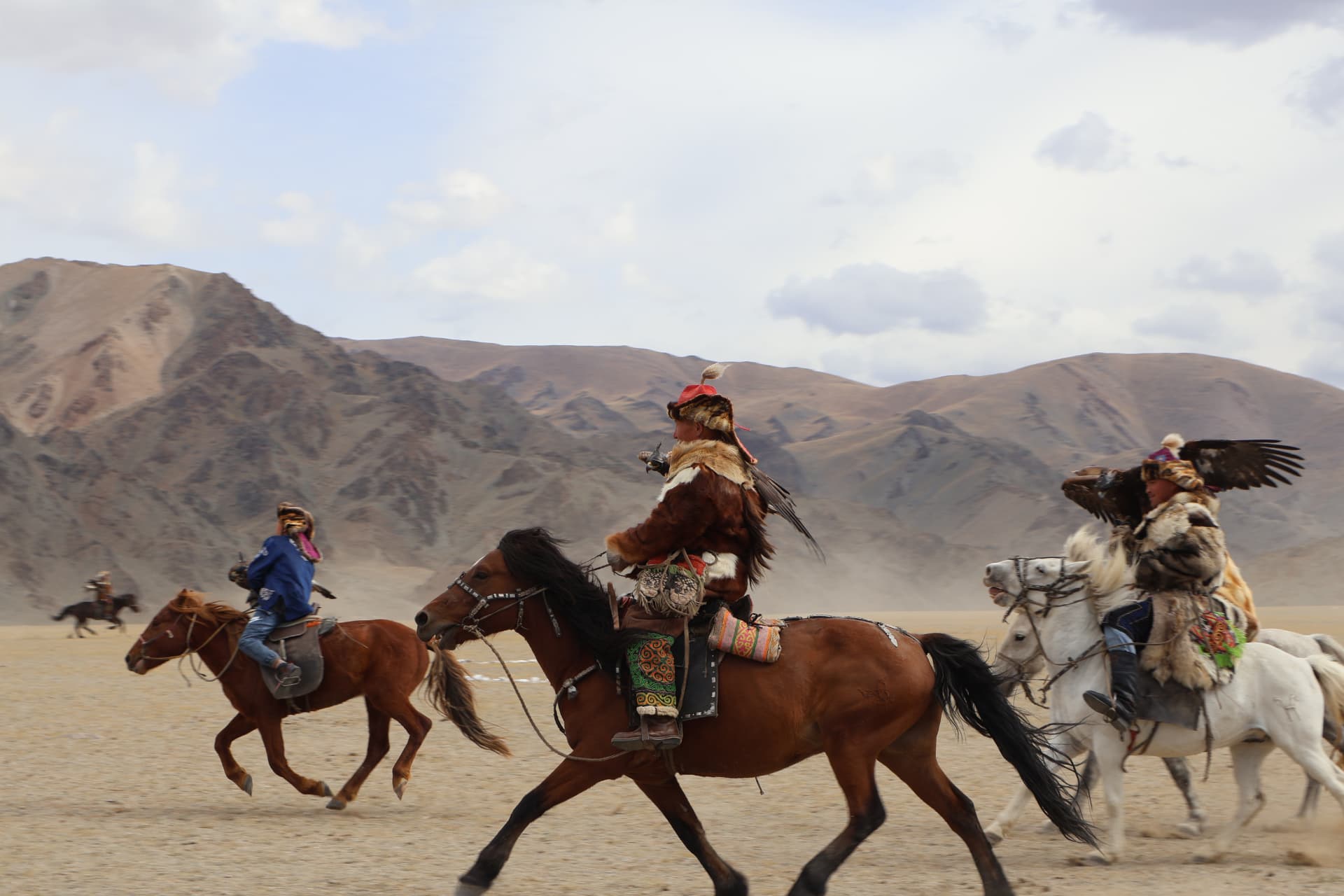 Kazakh eagle hunters riding side by side with golden eagles on their arms