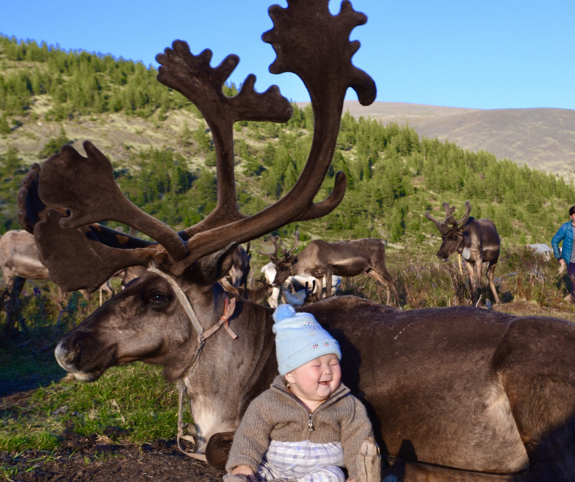 Tsaatan Journey (10-25 Aug)