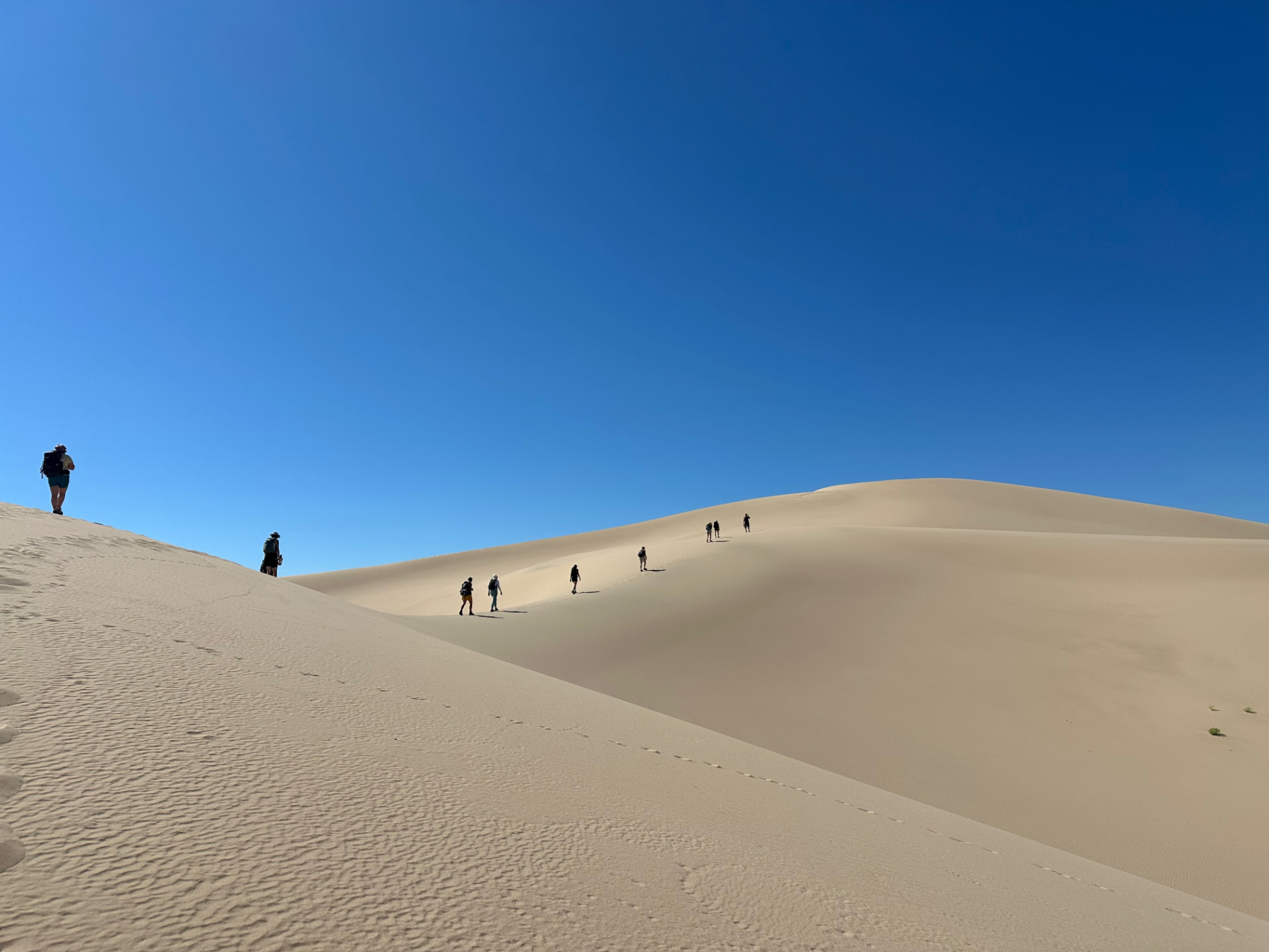 South Gobi Retreat & Journey