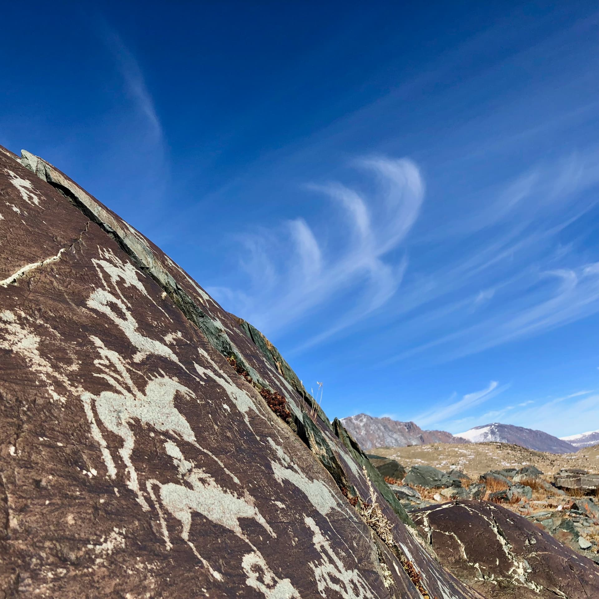 Ancient petroglyphs of ibex and hunters carved into Altai rock