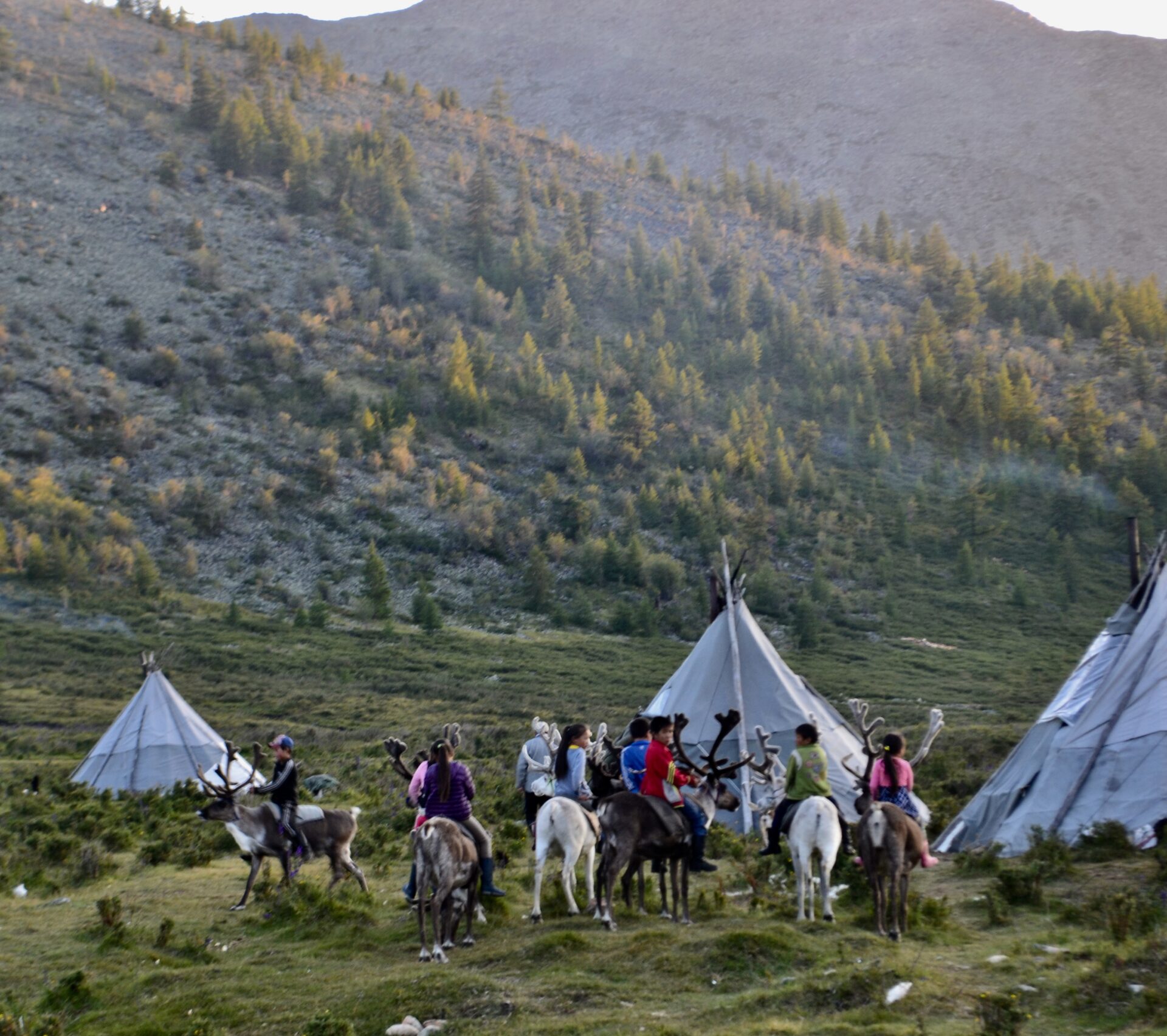 Tsaatan children on reindeer among tepees at dusk