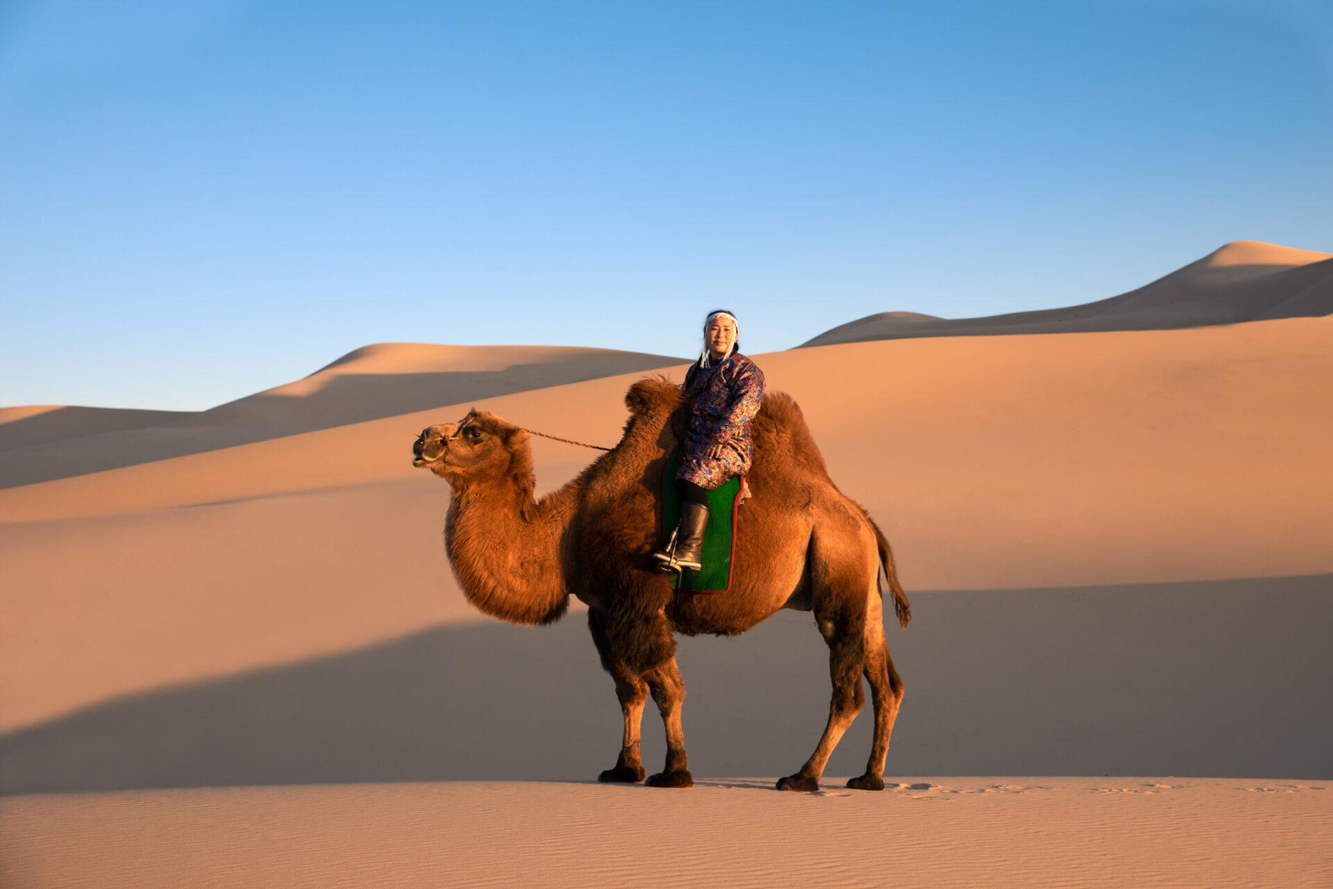 Traveller in traditional dress riding a Bactrian camel between the dunes of the Gobi