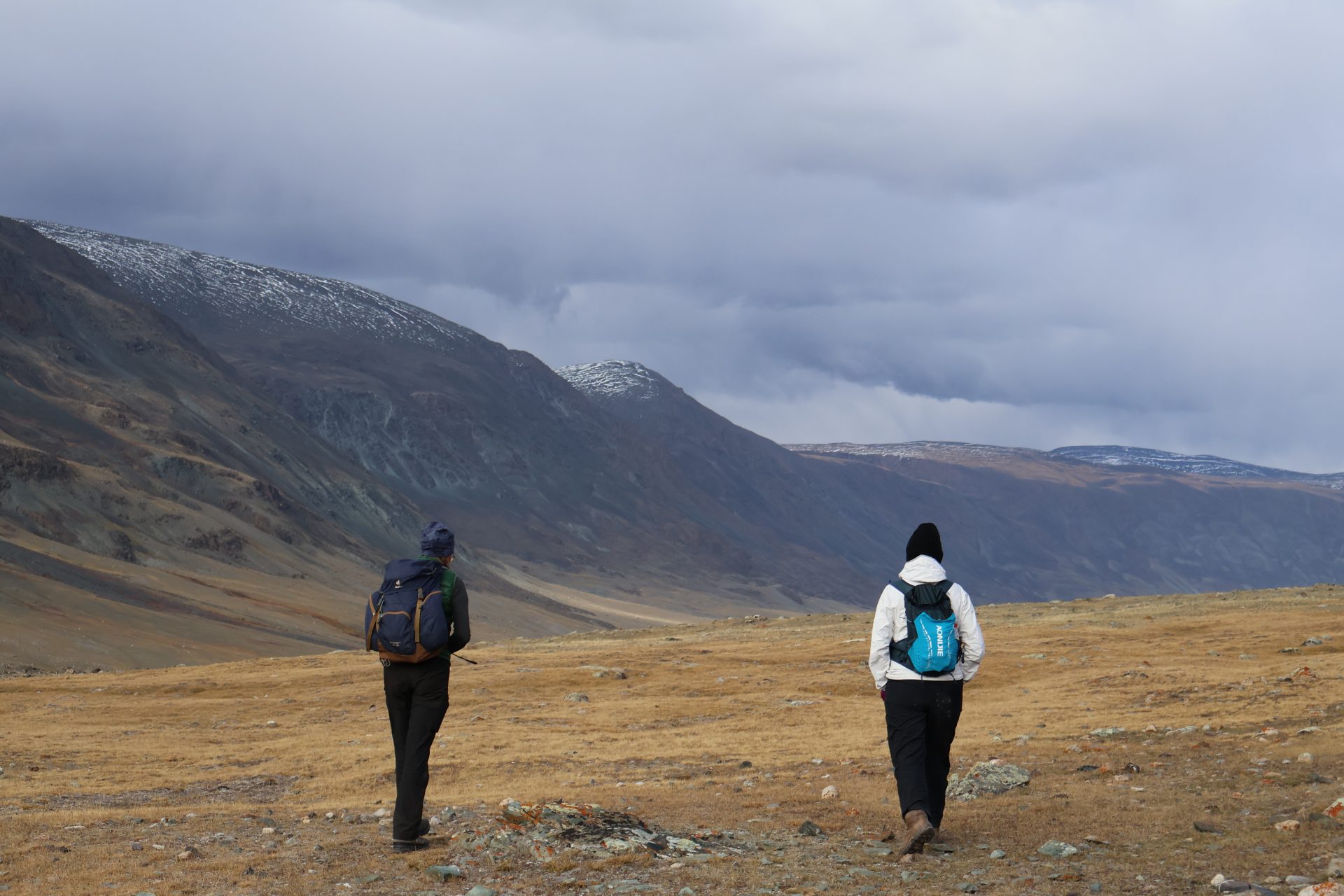 Two trekkers walking a golden Altai valley under heavy clouds