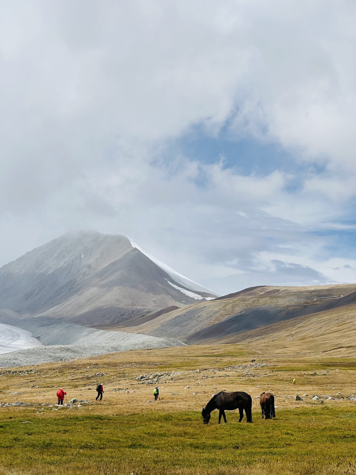 Hikers crossing a green meadow with grazing horses below a snow-streaked peak