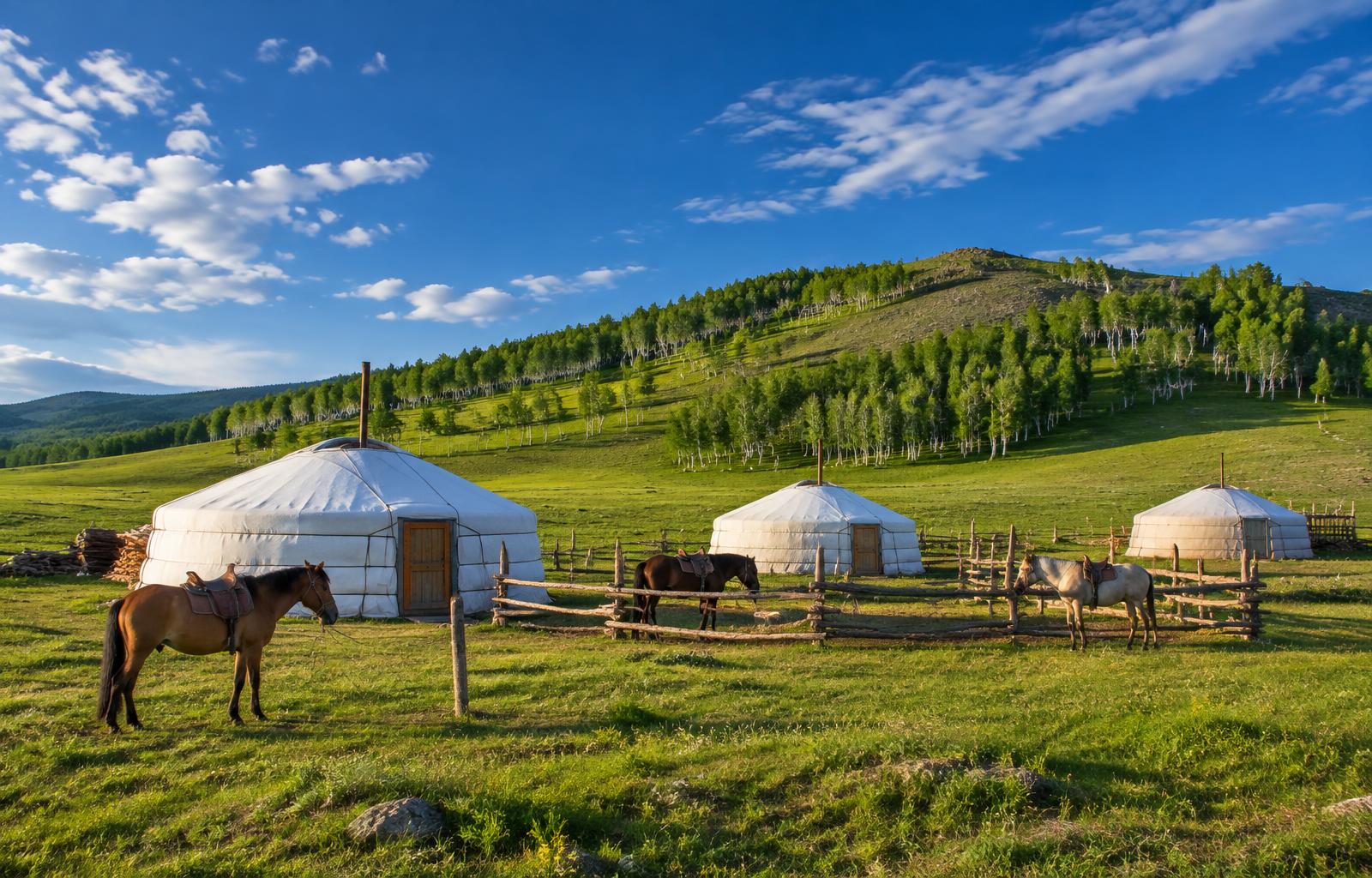 Traditional gers with horses and birch forest under a deep blue Mongolian sky