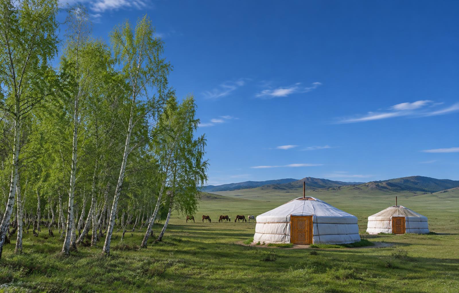 Birch Sap, Nomadic Life & Nature Retreat